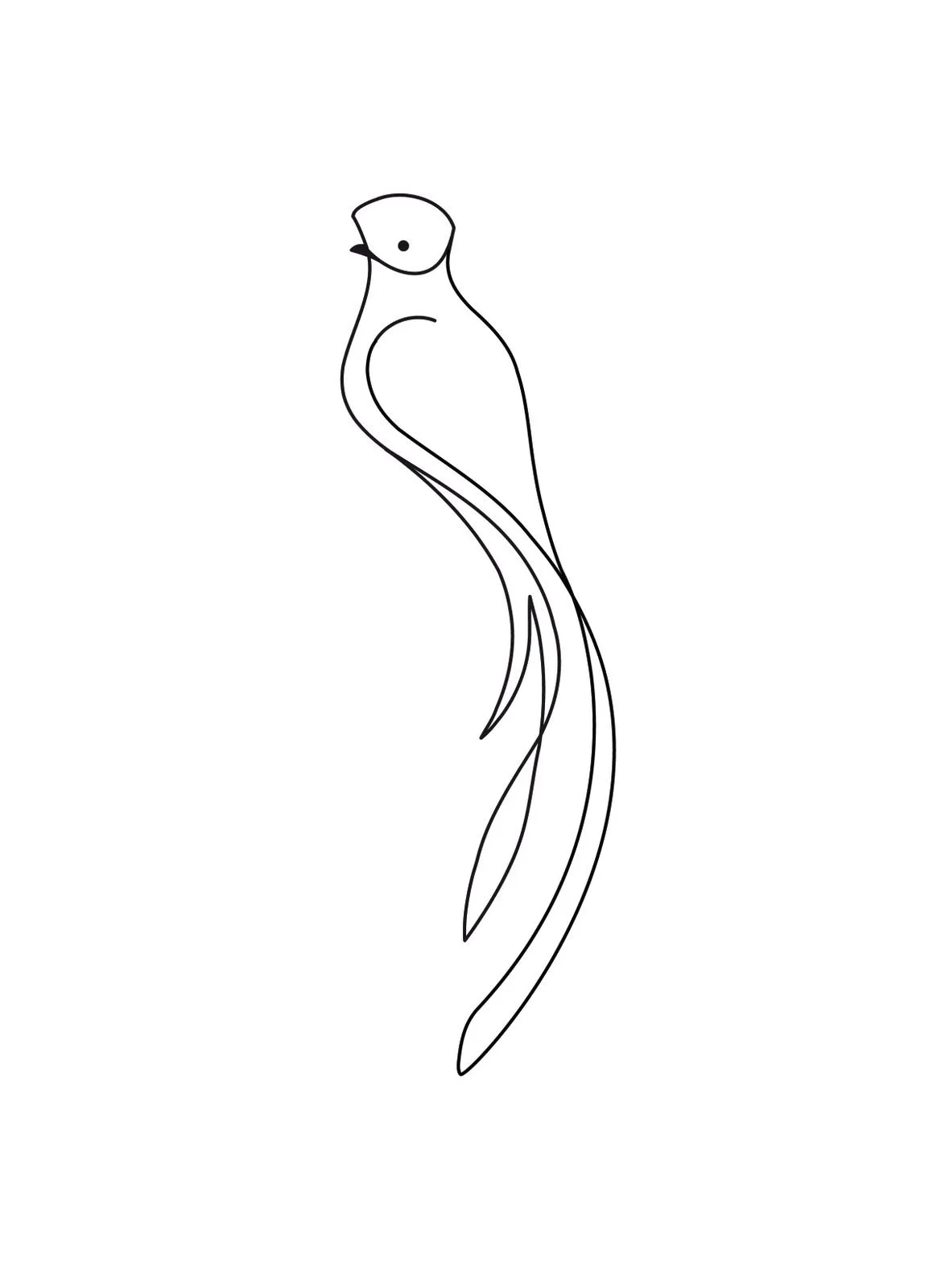 Quetzal para dibujar. - Imagui