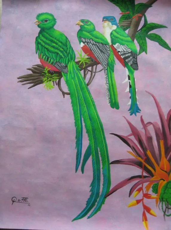 QUETZAL TROGON BIRDS Sergio Roffe Schultz - Artelista.com