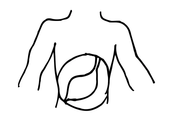 Dibujo de estomago - Imagui