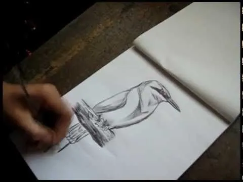 QuickSketch - Guardabarranco - YouTube