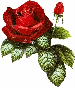 El dia que me quieras tendrá más luz que junio; El dia que me quieras tendrá más luz que junio;