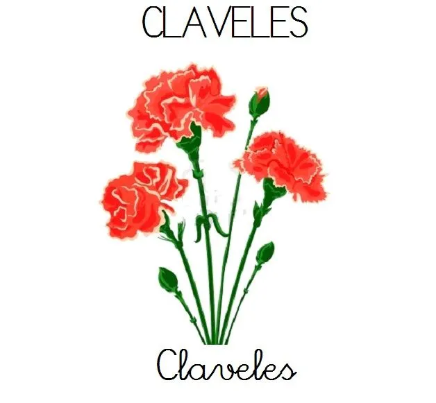 Quieres que te lo cuente otra vez?: Vocabulario de las plantas Quieres que te lo cuente otra vez?: Vocabulario de las plantas