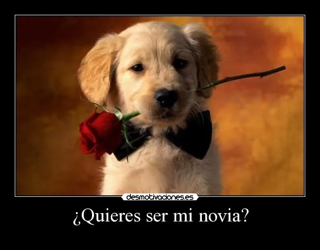 Quieres ser mi novia? | Desmotivaciones