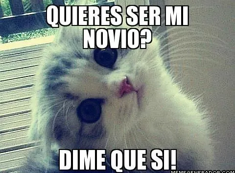 Quieres ser mi novio? | Mi amor... Te amo !