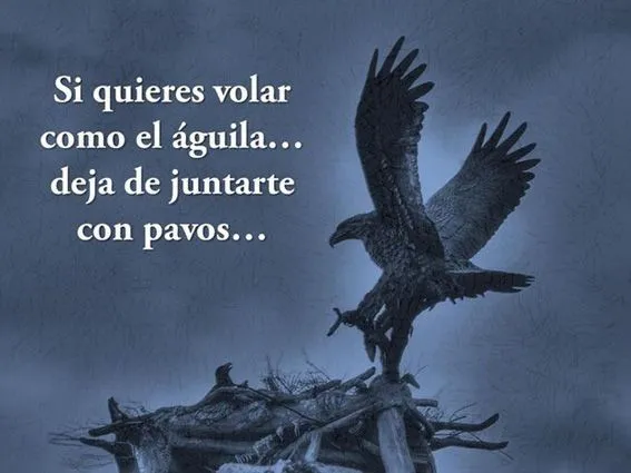 Si quieres volar como el águila... deja de juntarte con pavos ...