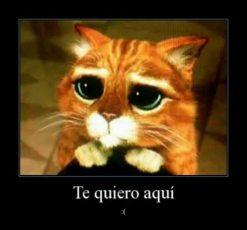 Frases del gato con botas - Imagui