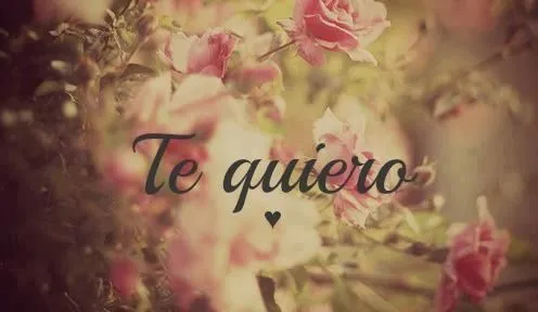 Te quiero-- mi amor. | Lovely Love | Pinterest