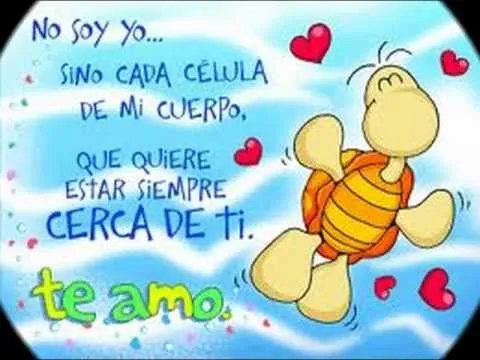 Porque te quiero cada dia mas cariño - YouTube Porque te quiero cada dia mas cariño - YouTube