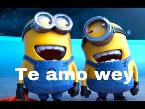 Minions diciendo te amo - Imagui