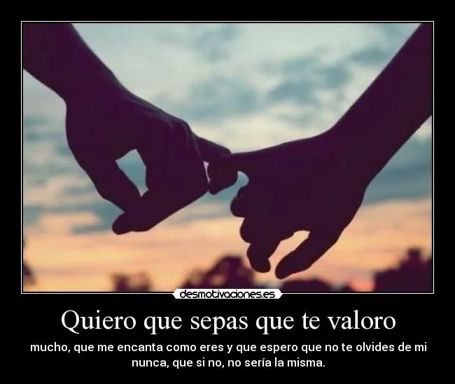 Quiero que sepas que te valoro | Desmotivaciones