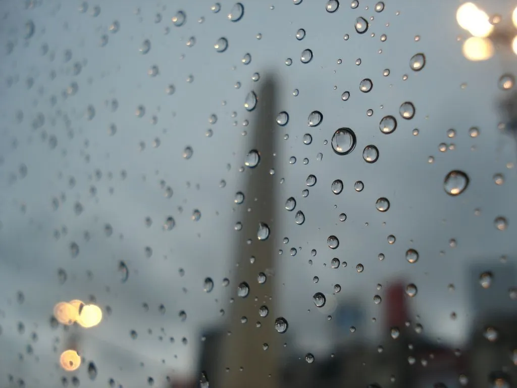 quilt: ¿Qué habrá detrás de la lluvia ególatra? quilt: ¿Qué habrá detrás de la lluvia ególatra?