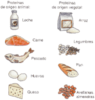 Alimentos de origen animal vegetal y mineral para colorear - Imagui Alimentos de origen animal vegetal y mineral para colorear - Imagui