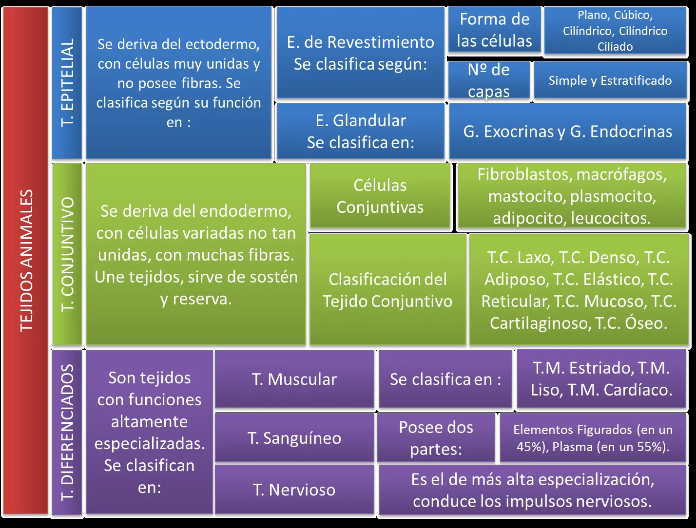 QUÍMICO-BIÓLOGO: TEJIDOS ANIMALES