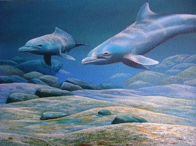 Pinturas delfines - Imagui