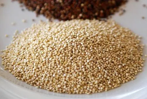 La Quinua alimento altamente nutritivo | THE FAN M - www.thefan.tk