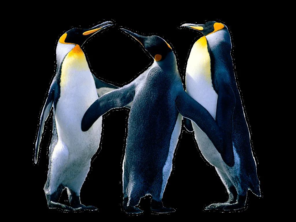 Como quitarle el fondo a una imagen con Paint.NET ~ Technodyan Como quitarle el fondo a una imagen con Paint.NET ~ Technodyan