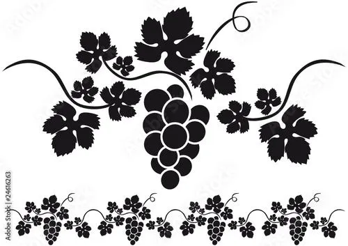 racimo de uvas cenefa" Imágenes de archivo y vectores libres de ... racimo de uvas cenefa" Imágenes de archivo y vectores libres de ...