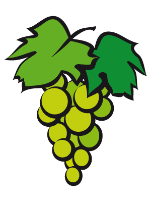 Racimo de uvas dibujo - Imagui