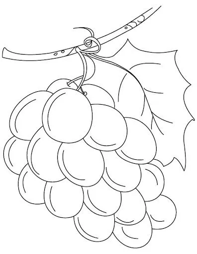 RACIMOS DE UVA PARA COLOREAR | Dibujos para colorear RACIMOS DE UVA PARA COLOREAR | Dibujos para colorear