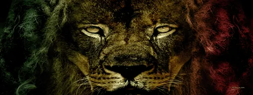 RADIO BLOG BABYLON FIGHTING ✡: Dreadlocks (Origen y significado ... RADIO BLOG BABYLON FIGHTING ✡: Dreadlocks (Origen y significado ...