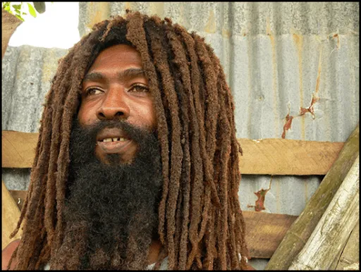 RADIO BLOG BABYLON FIGHTING ✡: Dreadlocks (Origen y significado ... RADIO BLOG BABYLON FIGHTING ✡: Dreadlocks (Origen y significado ...