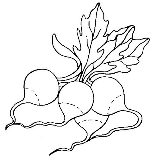 radis.jpg?imgmax=640