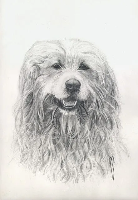 Rafa Navarro - dibujos a lapiz