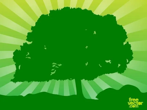 rama de un árbol grande | Descargar Fotos gratis rama de un árbol grande | Descargar Fotos gratis