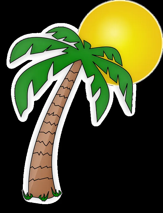 rama de palmera foami - Buscar con Google | Palmera dibujo, Tatuajes de  palmeras, Clipart