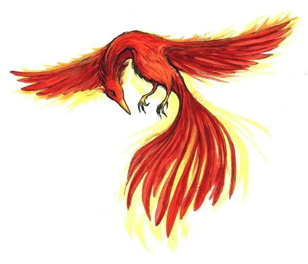 Dibujos ave fenix - Imagui