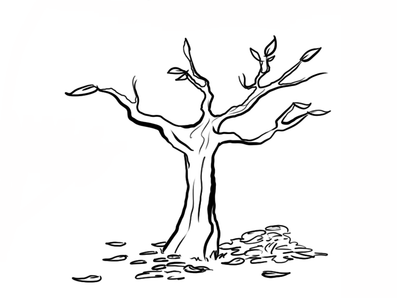 Arbol con ramas para colorear - Imagui