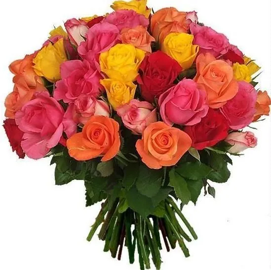Ramo de flores — Comprar Ramo de flores, Precio de , Fotos de Ramo ... Ramo de flores — Comprar Ramo de flores, Precio de , Fotos de Ramo ...