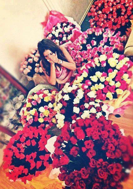 Rosas y peluches tumblr - Imagui