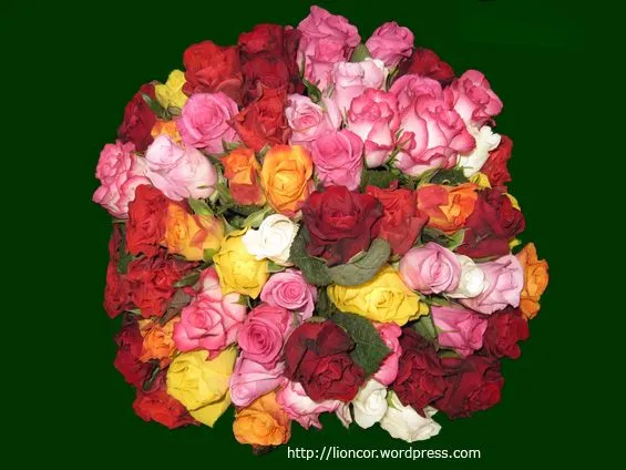ramo de rosas | AMOR ETERNO ...