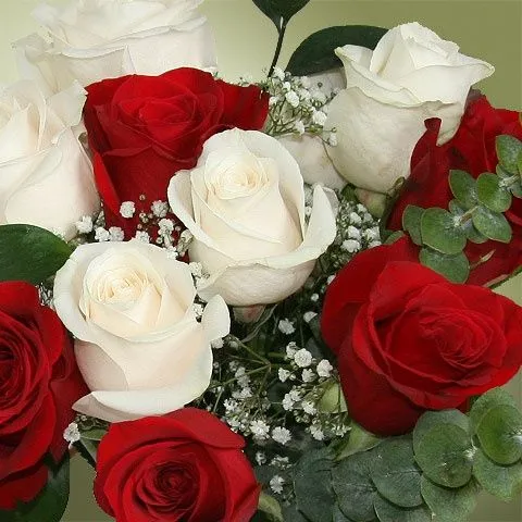 Ramo de rosas blancas y rojas on Pinterest