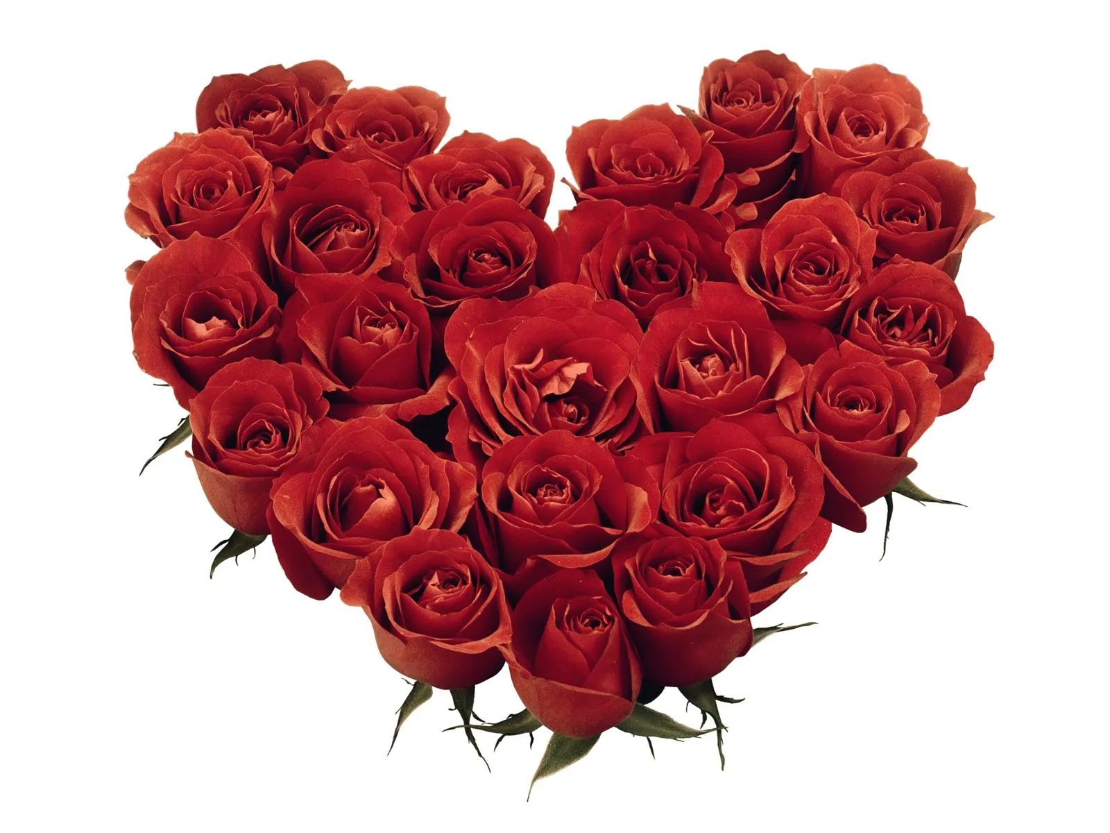 Ramo de rosas para facebook - Fotografias y fotos para imprimir Ramo de rosas para facebook - Fotografias y fotos para imprimir