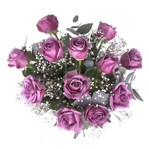 rosas-moradas.jpg