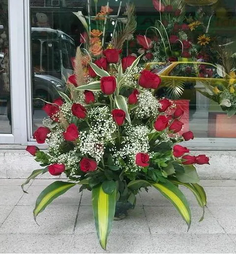 Ramo de Rosas Rojas Aniversario # 3 — Comprar Ramo de Rosas Rojas ... Ramo de Rosas Rojas Aniversario # 3 — Comprar Ramo de Rosas Rojas ...