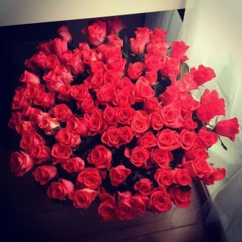 Ramo de rosas tumblr - Imagui