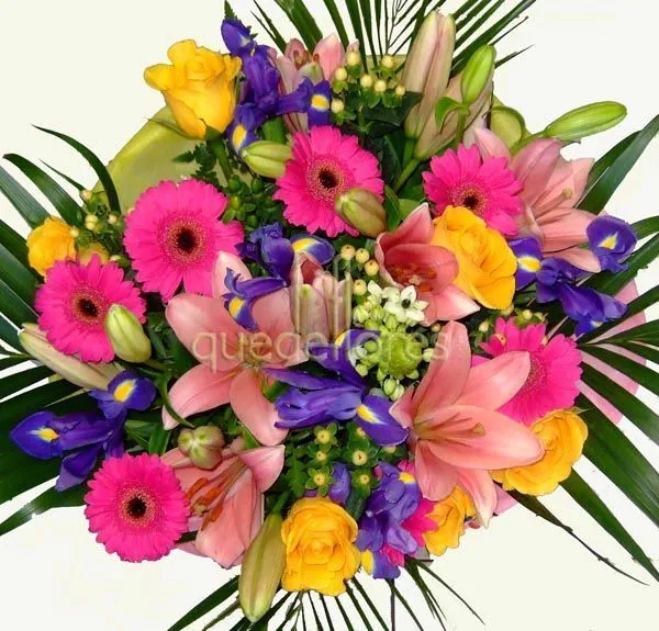 Ramo de flores fiesta - quedeflores.com - Flores todo el año Ramo de flores fiesta - quedeflores.com - Flores todo el año