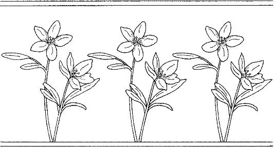 Patrones de flores para pintar sobre tela