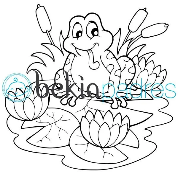 Rana: dibujo para colorear
