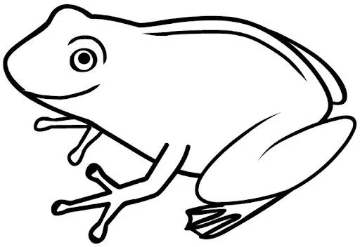 Rana facil de dibujar - Imagui