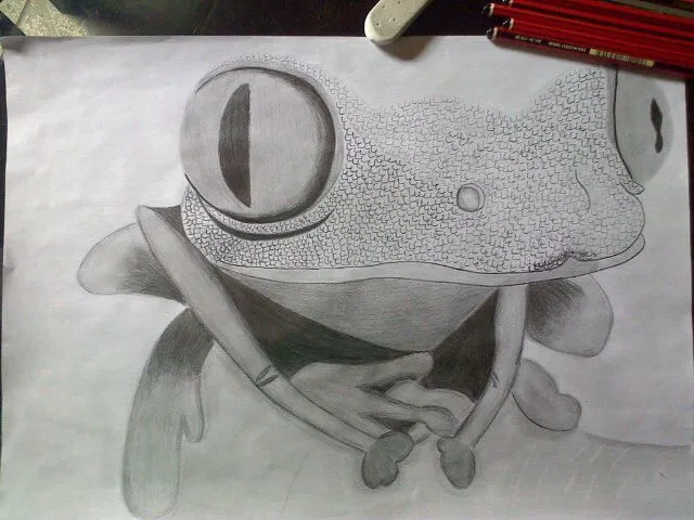 Rana a lapiz | Dibujos | Pinterest