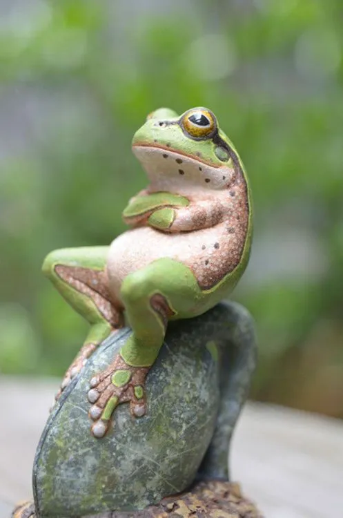 Rana Pensadora - Imagenes de Animales Graciosos, Videos y Fotos de ... Rana Pensadora - Imagenes de Animales Graciosos, Videos y Fotos de ...