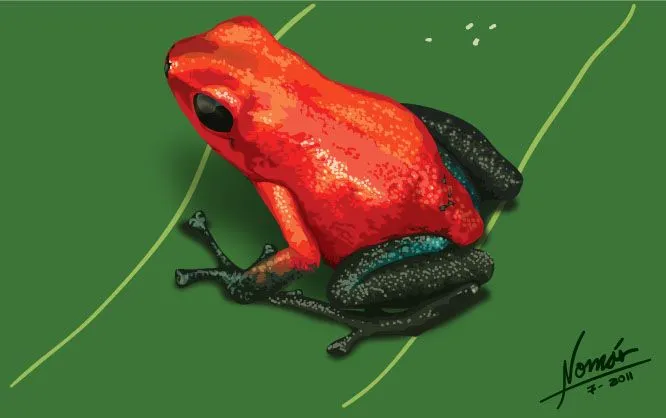 Rana Venenosa - Nomas
