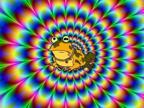 Ranas alucinógenas es una entrada original de Blog de Humor