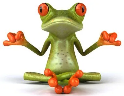 Ranas graciosas - Imagui