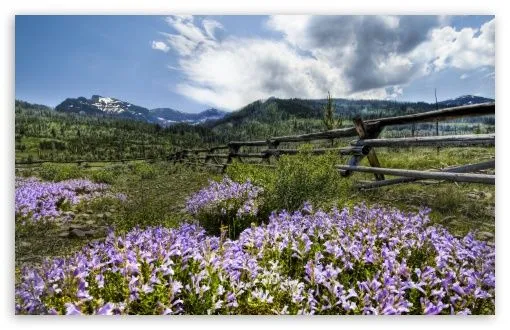 Ranch In Montana HD desktop wallpaper : High Definition ...