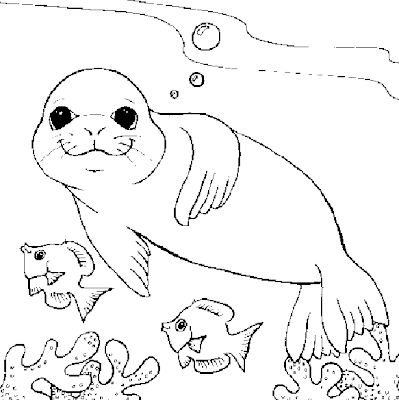 Mi Ranita: ANIMALES PARA COLOREAR.......